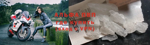 хмурый Арсеньев