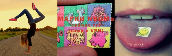 хмурый Арсеньев