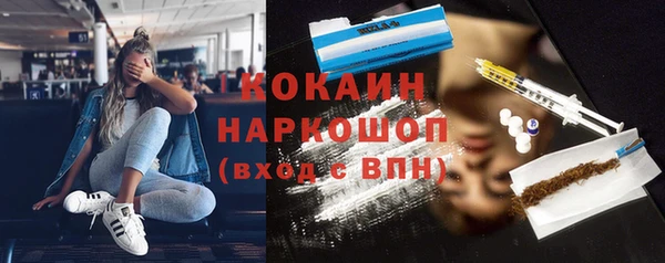 хмурый Арсеньев