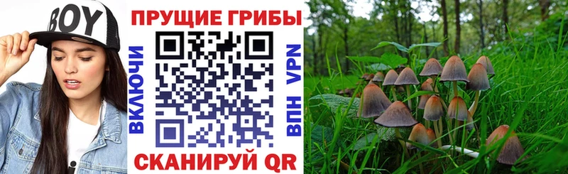 MEGA ссылка  Малоархангельск  Псилоцибиновые грибы MAGIC MUSHROOMS 